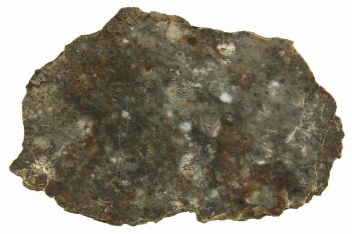 Lunar Meteorite ( g) Thin Slice - NWA #316709
